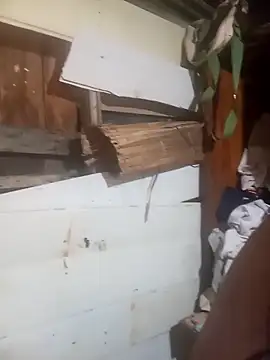 Show de srtsara na webcam