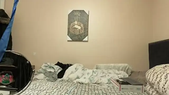 Show Webcam de hailzeffn