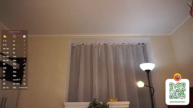 SallyDeniken's Webcam Show