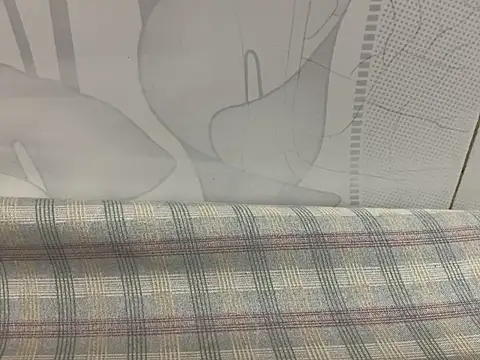 momne7799 网络视讯表演