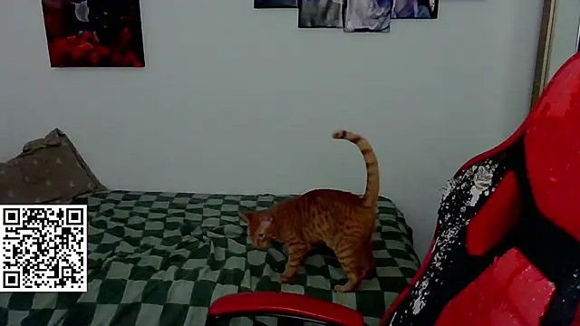 yessica_gomez01 Live XXX-Chat