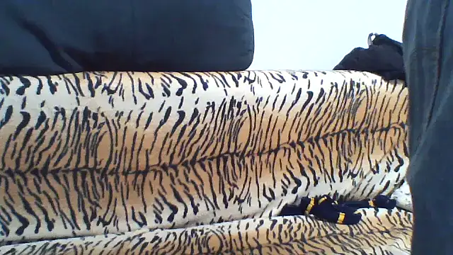 KaelNox live XXX chat