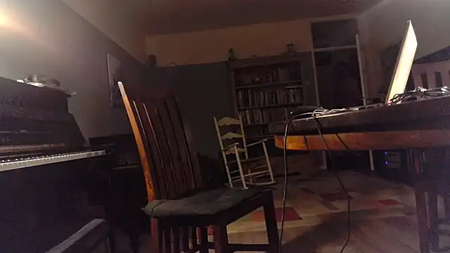 RolfS_bi Live XXX Chat