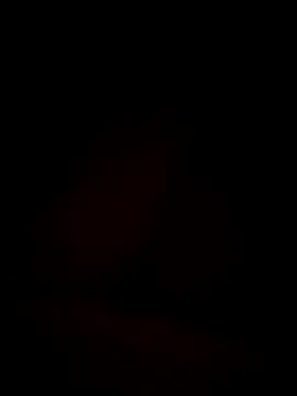 Larissa69f Adlı Modelin Canlı XXX Sohbeti