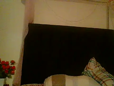 Anaconda2350 即時 XXX 聊天