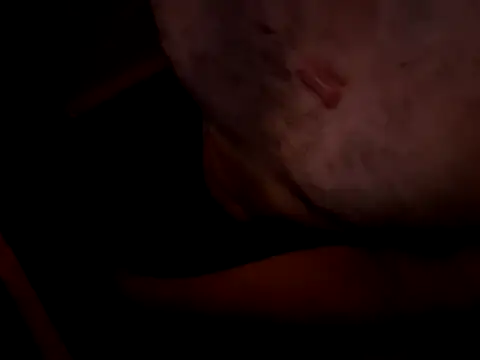 Show de webcam de fabioape