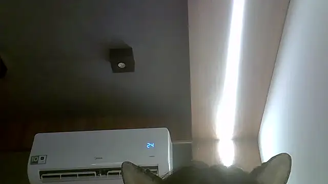 SkinnyKittenのウェブカメラショー