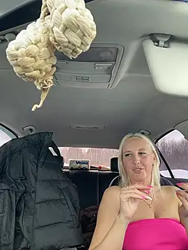 โชว์เว็บแคมของ MerlinDave