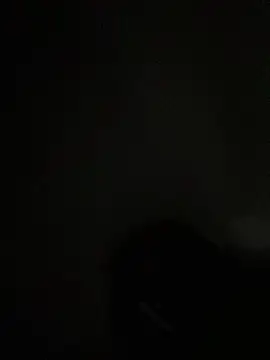 Onlypawzzn Live XXX chat