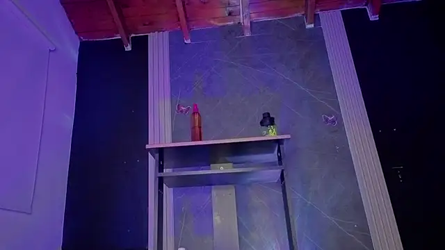 Chatroom XXX en direct de haileycat