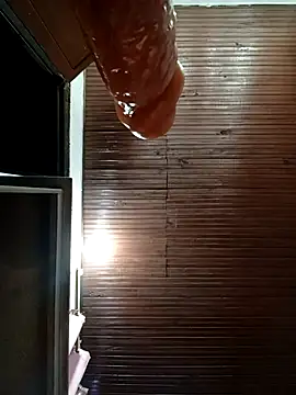 TRANS_COLOMBIA Pertunjukan Webcam