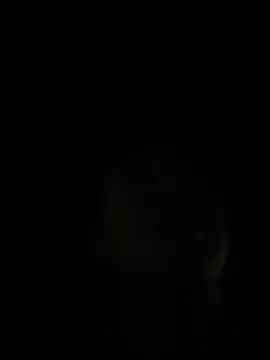 Show Webcam de Craziness_street