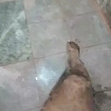 jockey2051992 Live XXX Chat