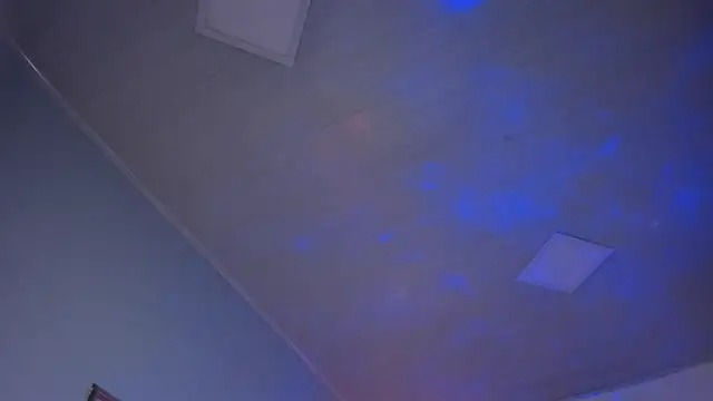 ayshel__ 라이브 XXX 채팅