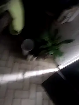 shyguy8569 – Kamerová šou