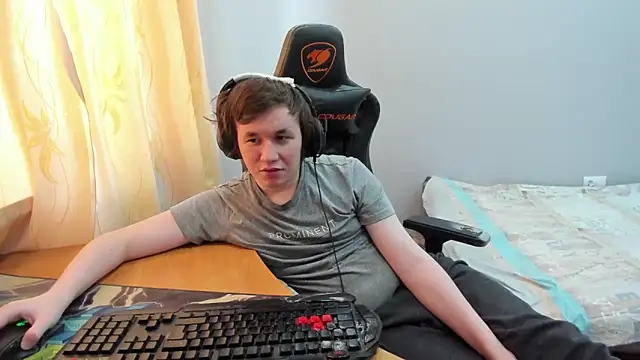 iliaskrisloven Webbikameraesitys