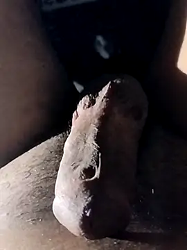 Show webcam de taherDzzf