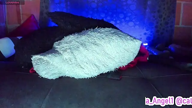 Cata-angel Live XXX-Chat