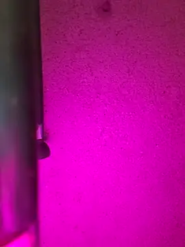 Indianlivejashmin Show Webcam