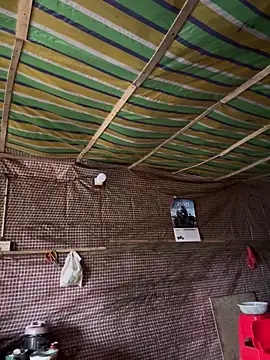 Show de dudubaobao na webcam