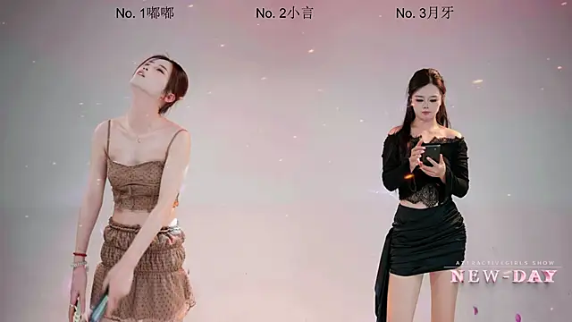 NEW-DAYn Webbikameraesitys