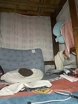 daaqnn 网络视讯表演