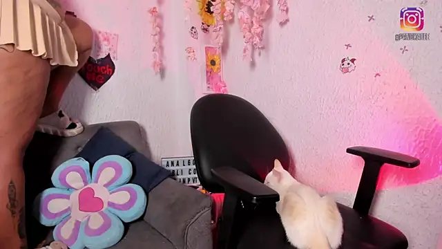 عرض كام Kuutar