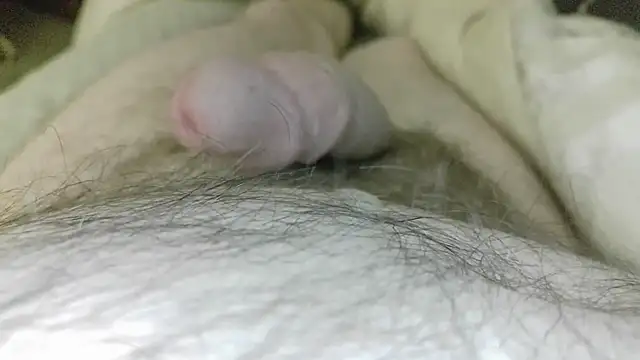 cumhere71 – Kamerová šou