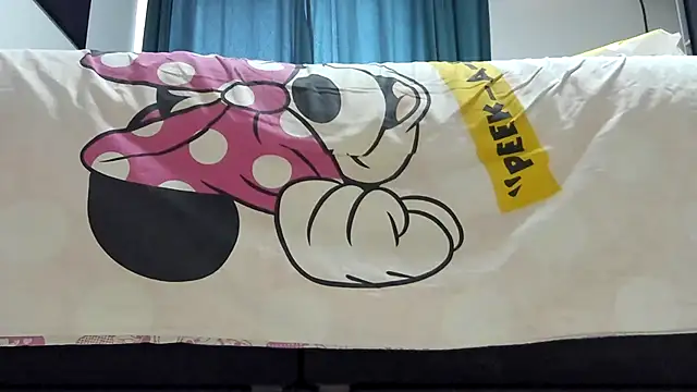 Show webcam de ass2mouth