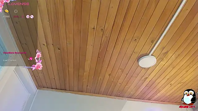 دردشة cristal__hot_1 الجنسية المباشرة