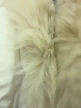 littleqiu Chat XXX in diretta