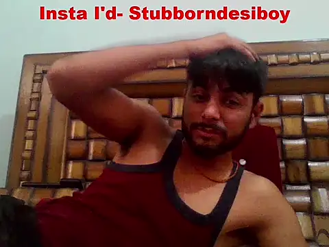Вебкам-шоу Stubborndesiboy