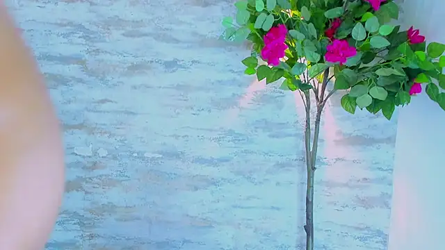 Amelia_Myers Live XXX-Chat