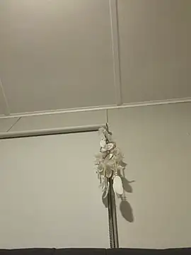 Dirty_Davina Webcam show