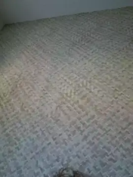 Yakanude Adlı Modelin Canlı XXX Sohbeti