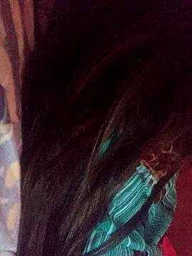 Show webcam de Hellentrans24