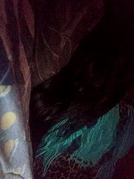 Show de webcam de Hellentrans24