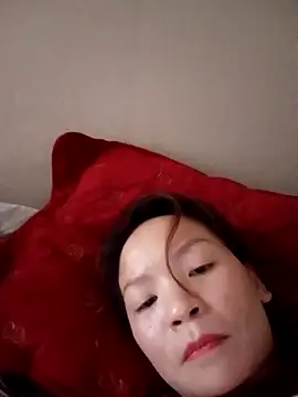 Pengodc 网络视讯表演