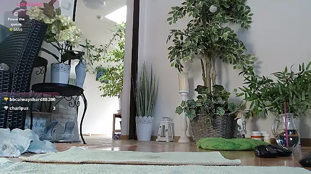 Онлайн чат XXX Squirtmania