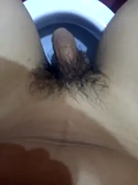 Show de webcam de dallm5