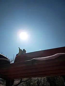 แชท XXX สดของ bellapaty