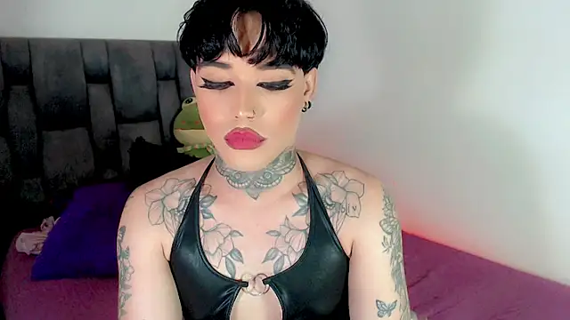 little_star_porn 웹캠 쇼