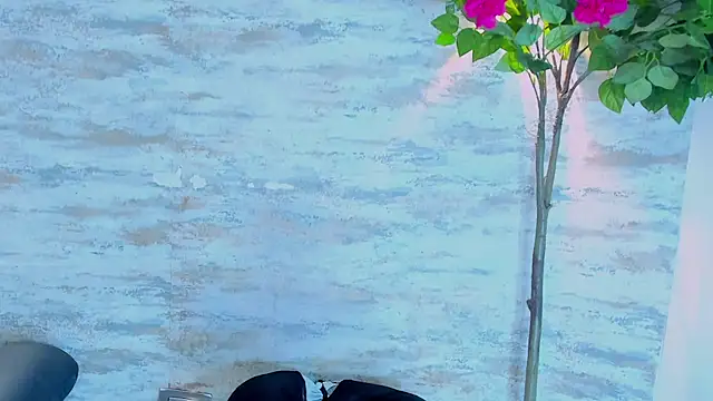 Show de Amelia_Myers na webcam