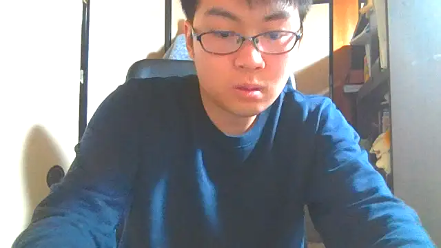 hiromu53 Show Webcam