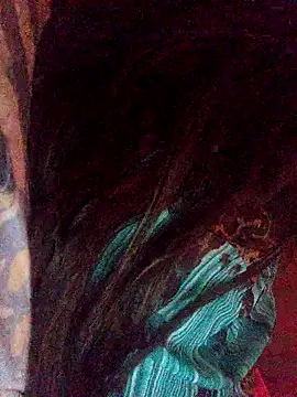 Hellentrans24n Webbikameraesitys