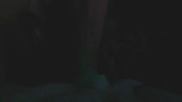 Show webcam de bobbybullit