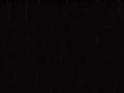 Show webcam de aavocadok