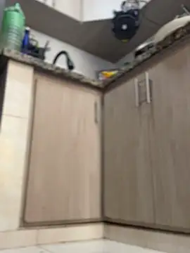 Show webcam de ROUSSH