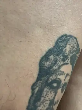 Show de Nikatsu na webcam