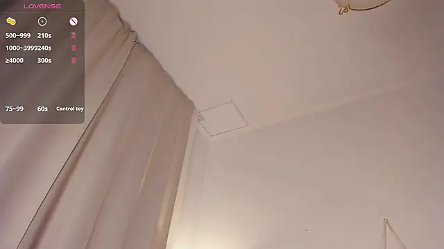 LaureMestlern Webbikameraesitys